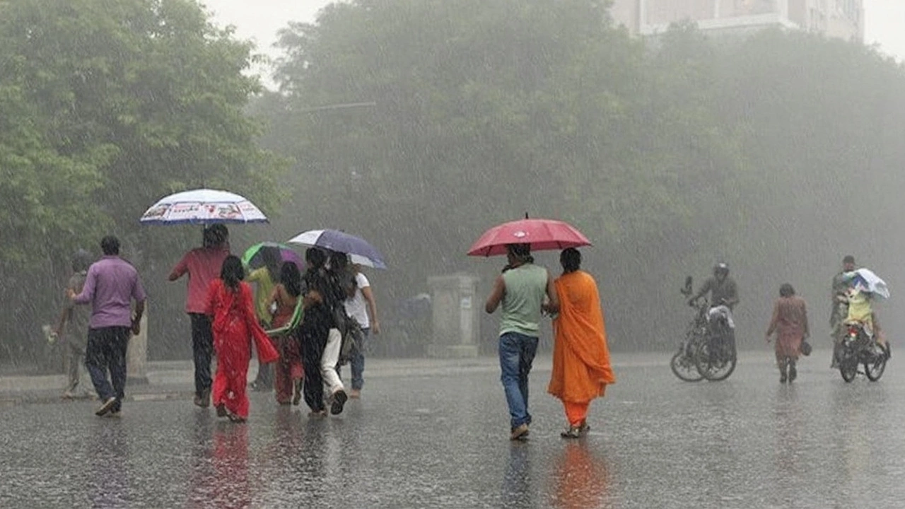 What Forecasts, Past Data, and Climate Trends Reveal